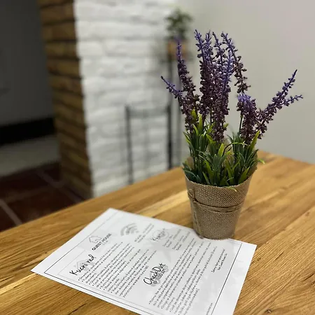 Lila Apartment